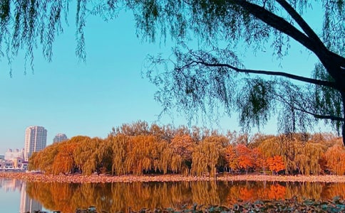 ���յ�����(ͨ��15ƪ)