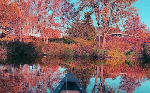 ����˽������15ƪ(��ѡ)