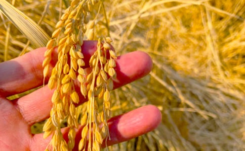 ���յ����ġ��ȡ�