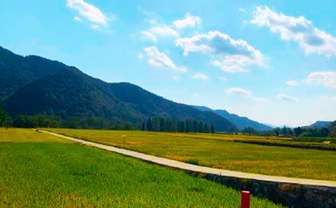 ���ճ�������