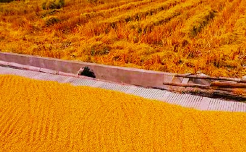 �������յľ���