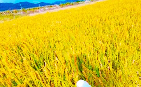 ���ȡ����յ�����