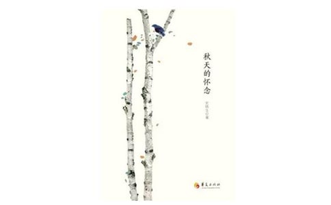 ����Ļ�������ĵ�8ƪ