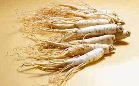 ��͵���˲ι��������