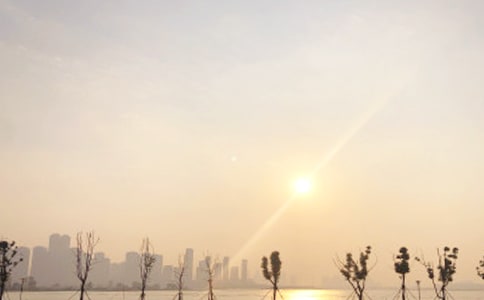 海上的日出作文