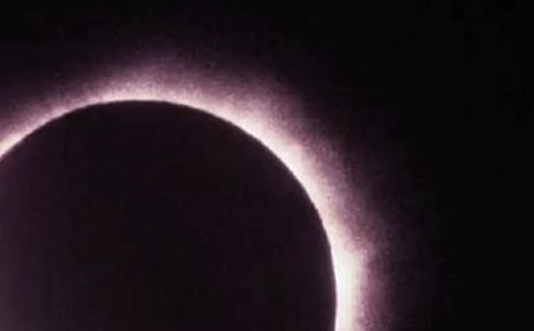 日食的作文15篇