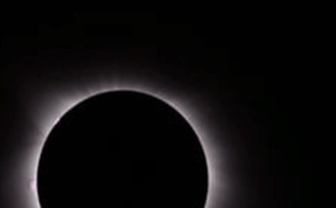 我看到了日食作文