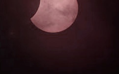 ��ʳ������