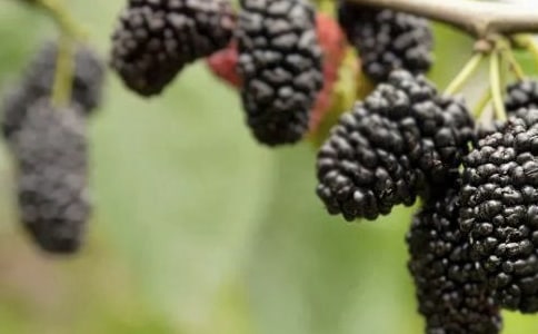 ժɣ������[��ѡ11ƪ]