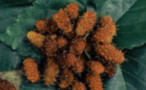 ժɣ������11ƪ