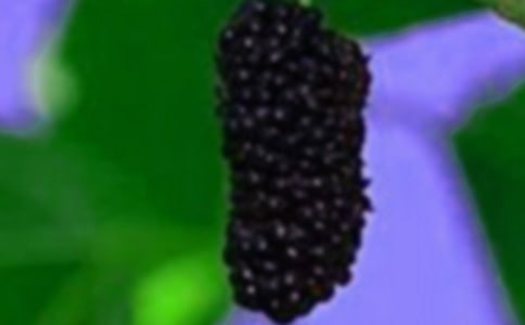 ժɣ�����ľ���[11ƪ]