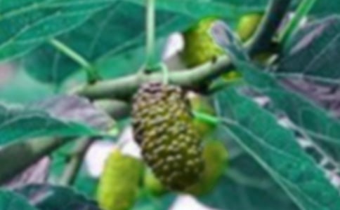 ժɣ������(11ƪ)