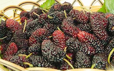 ժɣ������(ͨ��15ƪ)