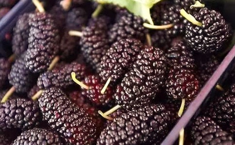 ժɣ�����ģ���ѡ38ƪ��