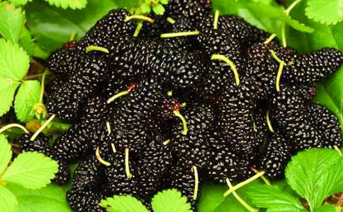 ժɣ�����ġ�����