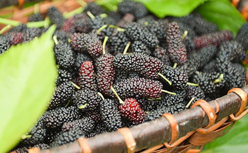 ժɣ������