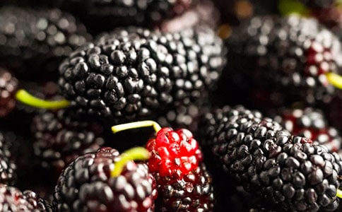 ���ر���ժɣ������