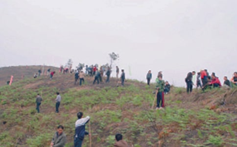 [ͨ��]ɨĹ������4ƪ