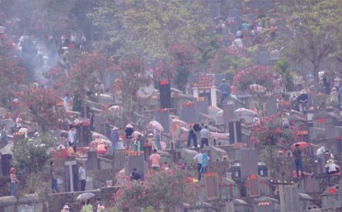 烈士陵园扫墓记作文