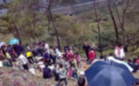 关于扫墓的作文