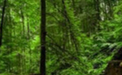 ɭ�ֵ���������ͨ�ã�6ƪ��