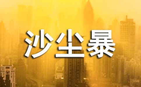 �����š�ɳ��������