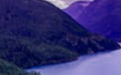 沉醉在山水的世界作文