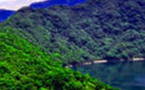 дɽˮ������