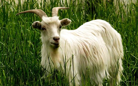 ɽ�������(���15ƪ)