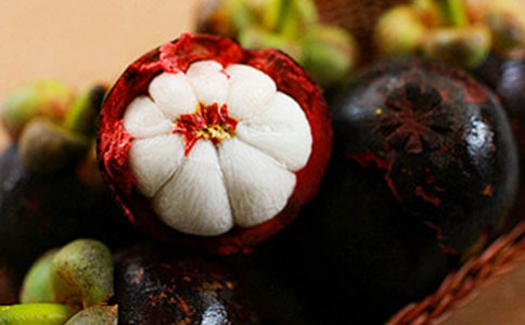 游茶山竹海作文