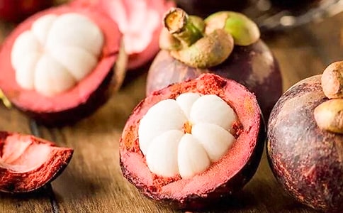 游南山竹海作文