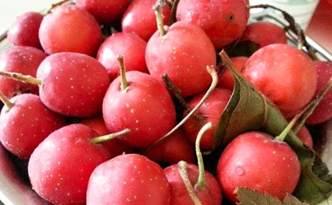 关于山楂的作文