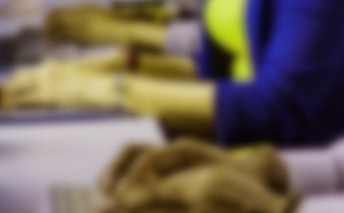 ��������ʵѵ�ĵ��������