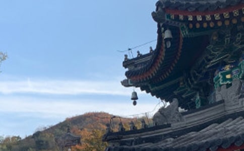 假期阅读上下五千年心得感悟