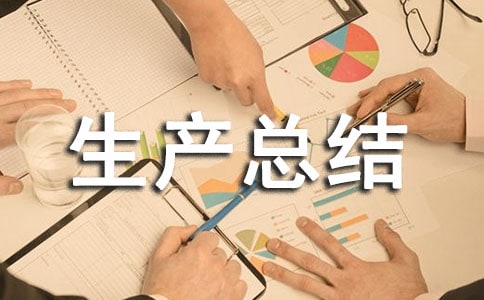 乡镇安全生产总结