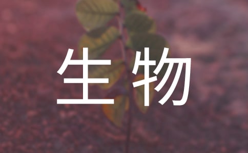 高中生物培训心得体会