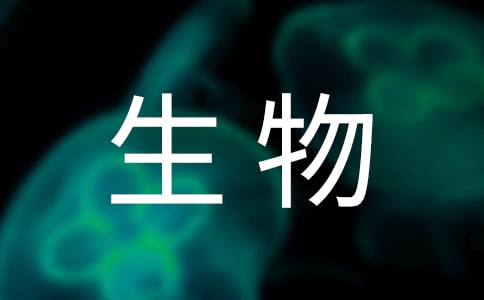 生物备课组工作总结(通用15篇)