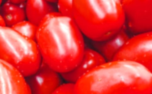 ʥŮ������