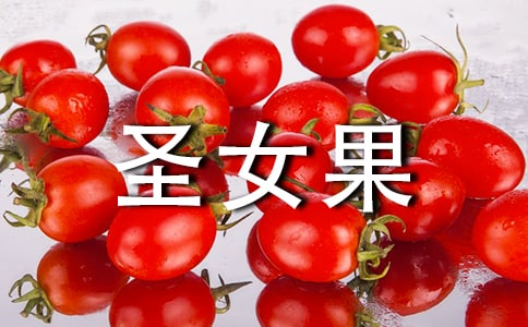 ʥŮ������(15ƪ)