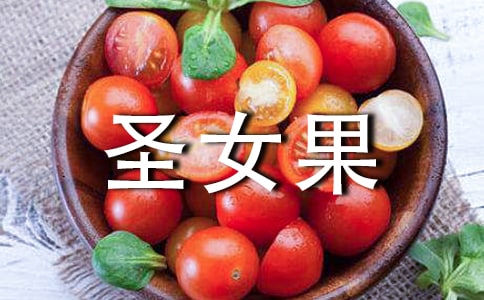 圣女果的作文