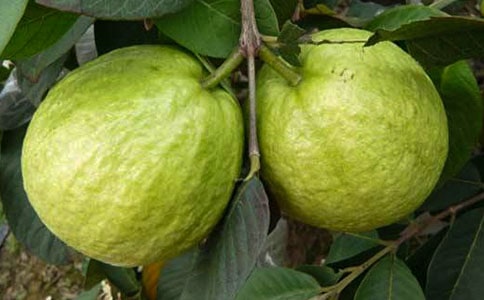 ʯ��״������