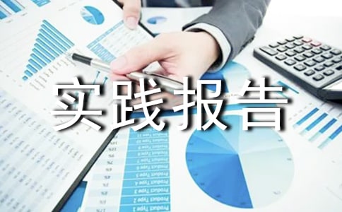 社会实践报告总结范文
