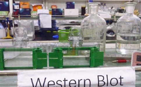 ʵ�����ĵ���᷶��