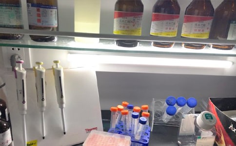 ��ѧʵ�����ܽ�