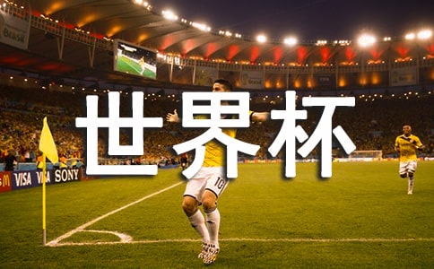 ���������籭����