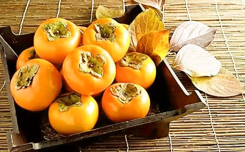 �����䣩������������15ƪ