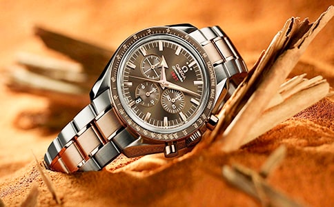 多功能手表作文(汇编13篇)