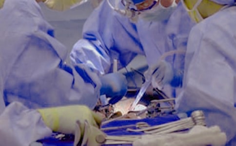 ������������������