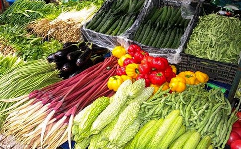 关于蔬菜的作文