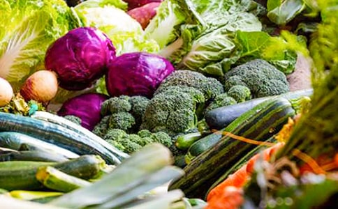 我喜欢的蔬菜作文6篇(优选)